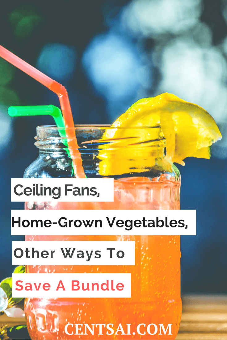 Ceiling Fans, Home-Grown Vegetables, Other Ways to Save a Bundle. In a very short period, we agreed on several simple ways to save more every month. Here is a short list of five such ways: