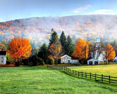 Forestry Consulting 101: How to Run a Successful Business in a Rural Area