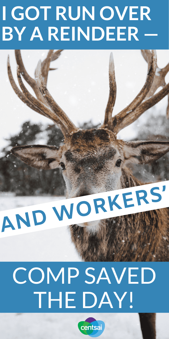 True story: Lindsay was injured on the job by a reindeer. Thanfully, workers' compensation had her covered. So how does workers' comp work? #career #insuranceblog