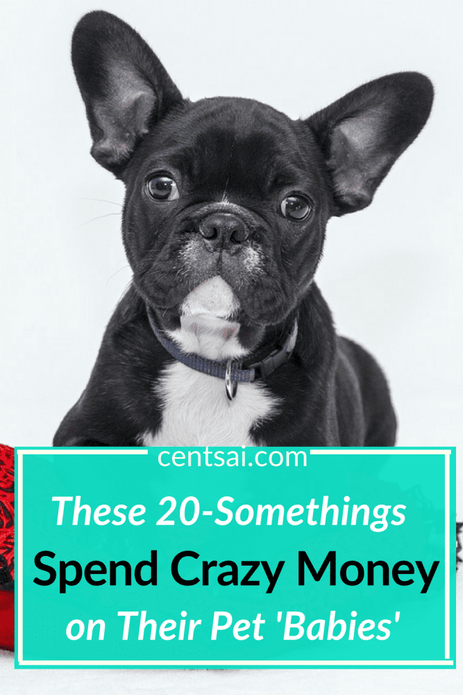 These 20-Somethings Spend Crazy Money on Their Pet 'Babies'. Millennials are spending serious money on their fur babies, is it? Find out why... #crazymoneysavingtips #crazymoneysaving #spendcrazymoney #furbaby
