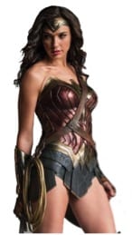 Expensive Wonder Woman costume