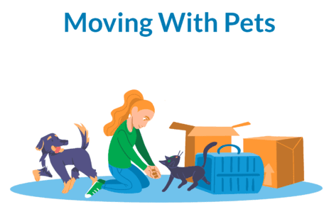 Moving with pets