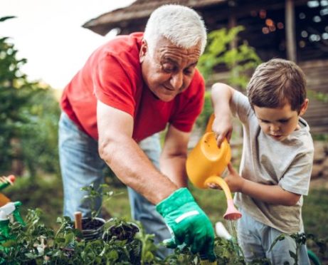 7 Strategies to Achieve Later-Life Financial Security